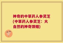 神奇的中草药人参灵芝(中草药人参灵芝：大自然的神奇馈赠)