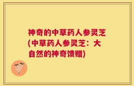 神奇的中草药人参灵芝(中草药人参灵芝：大自然的神奇馈赠)