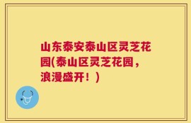 山东泰安泰山区灵芝花园(泰山区灵芝花园，浪漫盛开！)