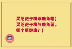 灵芝孢子粉跟鹿角帽(灵芝孢子粉与鹿角菌，哪个更健康？)