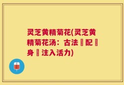 灵芝黄精菊花(灵芝黄精菊花汤：古法調配為身體注入活力)