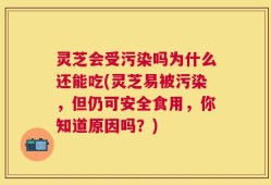 灵芝会受污染吗为什么还能吃(灵芝易被污染，但仍可安全食用，你知道原因吗？)