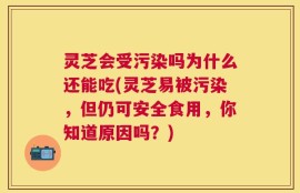 灵芝会受污染吗为什么还能吃(灵芝易被污染，但仍可安全食用，你知道原因吗？)