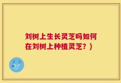 刘树上生长灵芝吗如何在刘树上种植灵芝？)