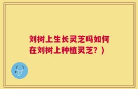 刘树上生长灵芝吗如何在刘树上种植灵芝？)