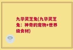九华灵芝兔(九华灵芝兔：神奇的宠物+世界级食材)