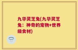 九华灵芝兔(九华灵芝兔：神奇的宠物+世界级食材)