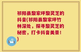 祁阳县黎家坪黎灵芝的抖音(祁阳县黎家坪竹林深处，探寻黎灵芝的秘密，打卡抖音美景！)