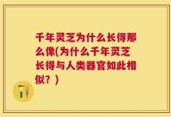 千年灵芝为什么长得那么像(为什么千年灵芝长得与人类器官如此相似？)