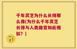 千年灵芝为什么长得那么像(为什么千年灵芝长得与人类器官如此相似？)