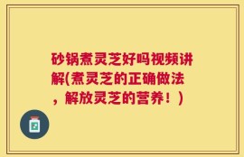 砂锅煮灵芝好吗视频讲解(煮灵芝的正确做法，解放灵芝的营养！)