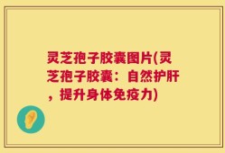 灵芝孢子胶囊图片(灵芝孢子胶囊：自然护肝，提升身体免疫力)