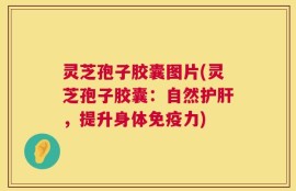灵芝孢子胶囊图片(灵芝孢子胶囊：自然护肝，提升身体免疫力)