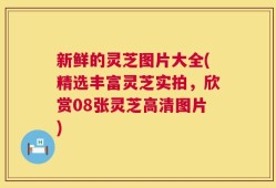 新鲜的灵芝图片大全(精选丰富灵芝实拍，欣赏08张灵芝高清图片)