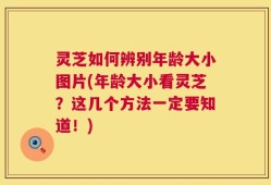 灵芝如何辨别年龄大小图片(年龄大小看灵芝？这几个方法一定要知道！)