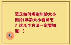 灵芝如何辨别年龄大小图片(年龄大小看灵芝？这几个方法一定要知道！)