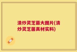 清炒灵芝菌大图片(清炒灵芝菌真材实料)