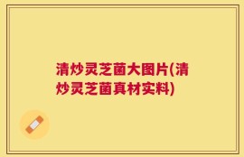 清炒灵芝菌大图片(清炒灵芝菌真材实料)