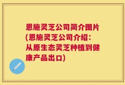 恩施灵芝公司简介图片(恩施灵芝公司介绍：从原生态灵芝种植到健康产品出口)