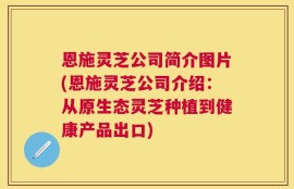 恩施灵芝公司简介图片(恩施灵芝公司介绍：从原生态灵芝种植到健康产品出口)