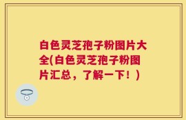 白色灵芝孢子粉图片大全(白色灵芝孢子粉图片汇总，了解一下！)