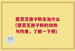 壁灵芝孢子粉主治什么(壁灵芝孢子粉的功效与作用，了解一下吧)