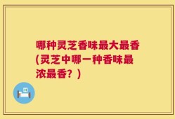哪种灵芝香味最大最香(灵芝中哪一种香味最浓最香？)