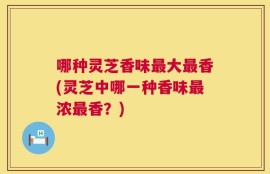 哪种灵芝香味最大最香(灵芝中哪一种香味最浓最香？)