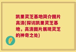 凯里灵芝基地简介图片高清(探访凯里灵芝基地，高清图片展现灵芝的神奇之处)