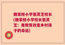 魏家桥小学张灵芝校长(魏家桥小学校长张灵芝：用教育改变乡村孩子的命运)