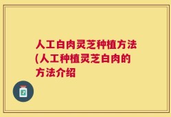 人工白肉灵芝种植方法(人工种植灵芝白肉的方法介绍