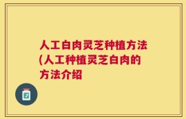 人工白肉灵芝种植方法(人工种植灵芝白肉的方法介绍