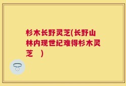 杉木长野灵芝(长野山林内现世纪难得杉木灵芝　)
