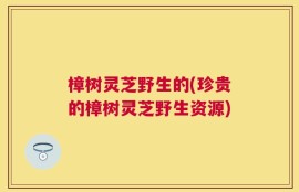 樟树灵芝野生的(珍贵的樟树灵芝野生资源)