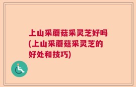 上山采蘑菇采灵芝好吗(上山采蘑菇采灵芝的好处和技巧)
