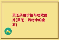 灵芝药用价值与功效图片(灵芝：药材中的宝石)