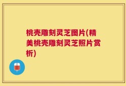 桃壳雕刻灵芝图片(精美桃壳雕刻灵芝照片赏析)
