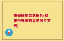 桃壳雕刻灵芝图片(精美桃壳雕刻灵芝照片赏析)