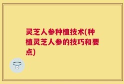 灵芝人参种植技术(种植灵芝人参的技巧和要点)