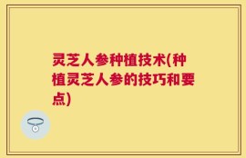 灵芝人参种植技术(种植灵芝人参的技巧和要点)