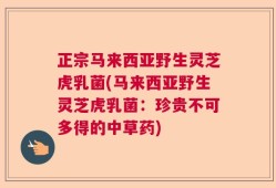 正宗马来西亚野生灵芝虎乳菌(马来西亚野生灵芝虎乳菌：珍贵不可多得的中草药)