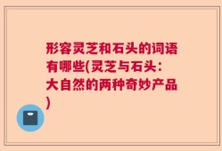 形容灵芝和石头的词语有哪些(灵芝与石头：大自然的两种奇妙产品)