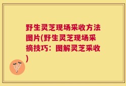 野生灵芝现场采收方法图片(野生灵芝现场采摘技巧：图解灵芝采收)