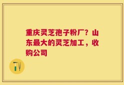 重庆灵芝孢子粉厂？山东最大的灵芝加工，收购公司