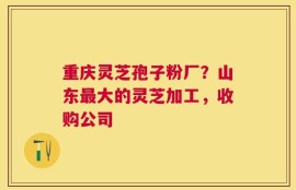 重庆灵芝孢子粉厂？山东最大的灵芝加工，收购公司