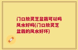 门口放灵芝盆栽可以吗风水好吗(门口放灵芝盆栽的风水好坏)