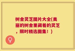 树舍灵芝图片大全(美丽的树舍里藏着的灵芝，限时精选图集！)