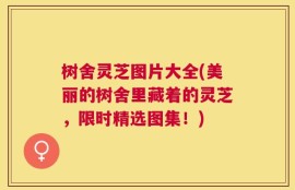树舍灵芝图片大全(美丽的树舍里藏着的灵芝，限时精选图集！)