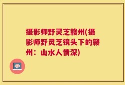 摄影师野灵芝赣州(摄影师野灵芝镜头下的赣州：山水人情深)
