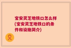 宝安灵芝地铁口怎么样(宝安灵芝地铁口的条件和设施简介)